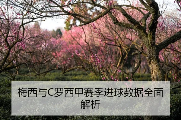 梅西与C罗西甲赛季进球数据全面解析