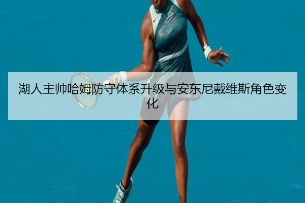 湖人主帅哈姆防守体系升级与安东尼戴维斯角色变化